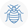 Bed Bug Extermination In Tulse Hill