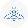 Bee Nest Removal Tulse Hill