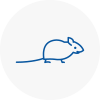 Mice Exterminators In Tulse Hill