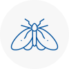 Moth Control Specialists In Tulse Hill