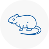 Rat Control Tulse Hill