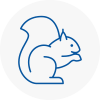 Tulse Hill Rodent Removals